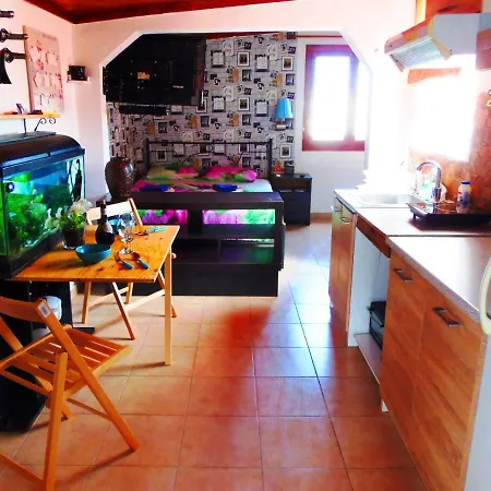 Arrival/departure One Night Studio Near The Airport Appartement